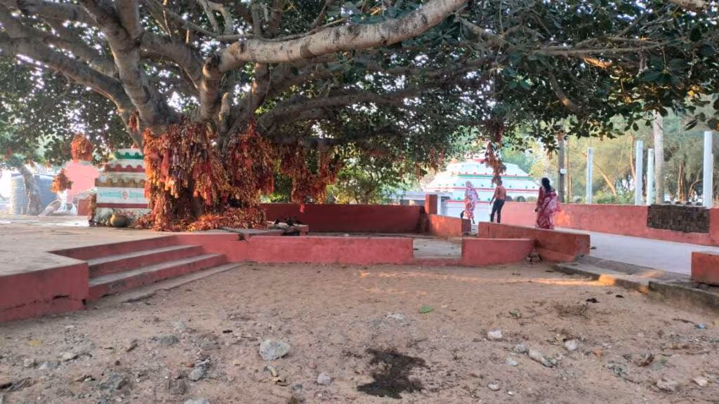 Maa Ramachandi Temple Batabrukhya