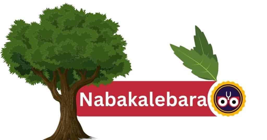 Lord Jagannath Nabakalebara Festival